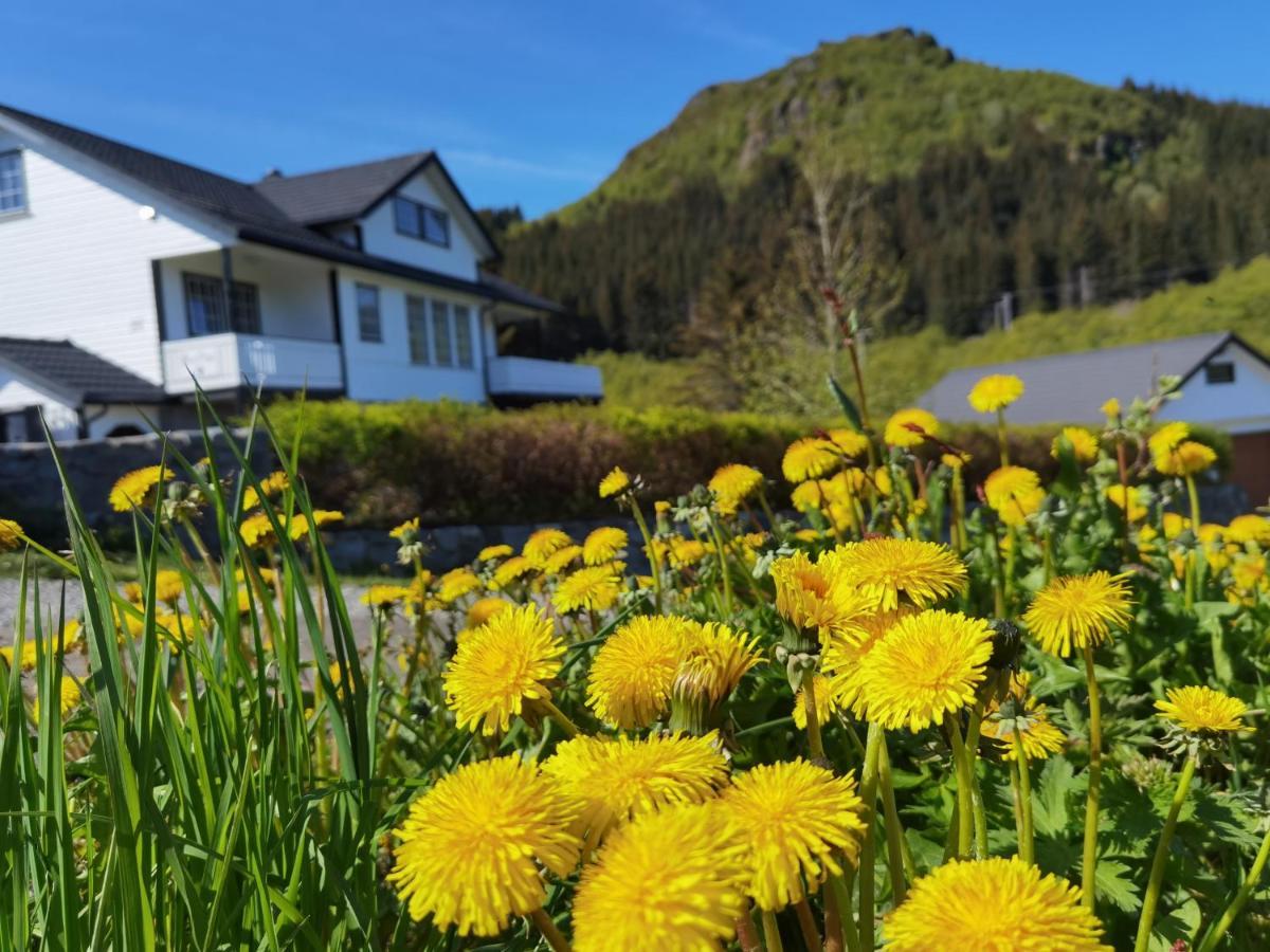 Banpim Hillside Lofoten With Jacusszi Gravdal  Екстер'єр фото